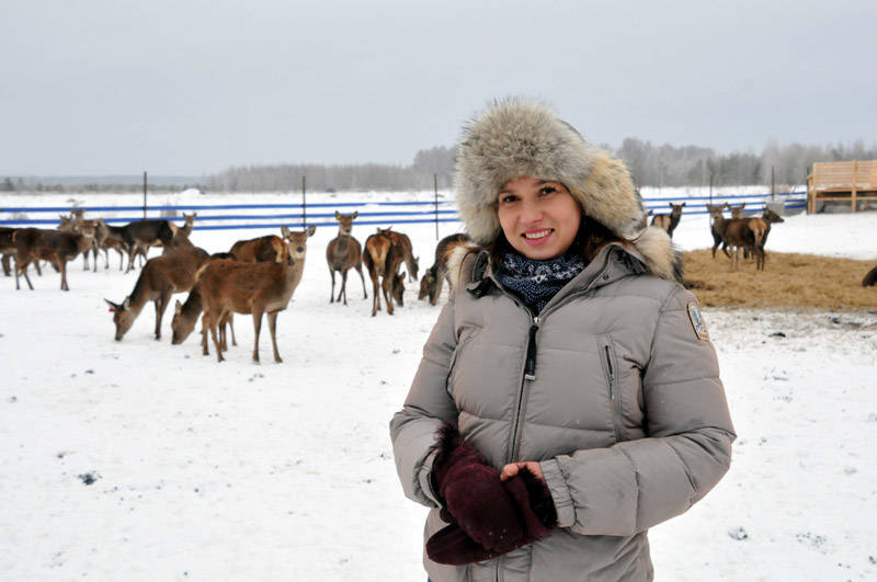 Впервые в Нижегородской области начали разводить благородных оленей как сельскохозяйственных животных (фоторепортаж)