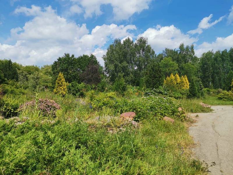 Ботанический сад Нижегородского университета стал партнером проекта «Экобраз»