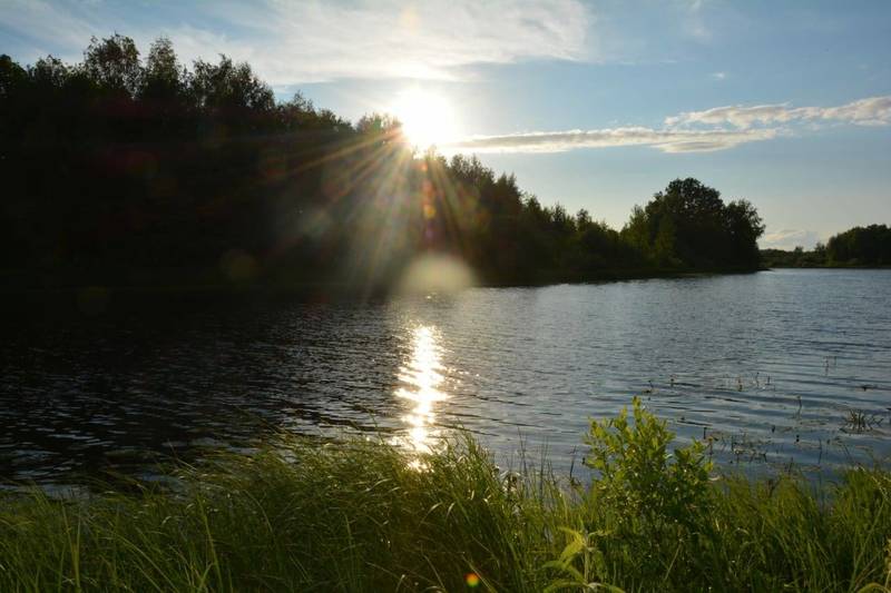 Границы памятника природы «Озеро Карасное» в Бутурлинском районе внесены в единый государственный реестр недвижимости