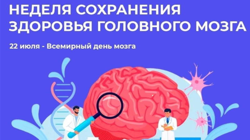 Медики напоминают нижегородцам о принципах сбережения здоровья головного мозга